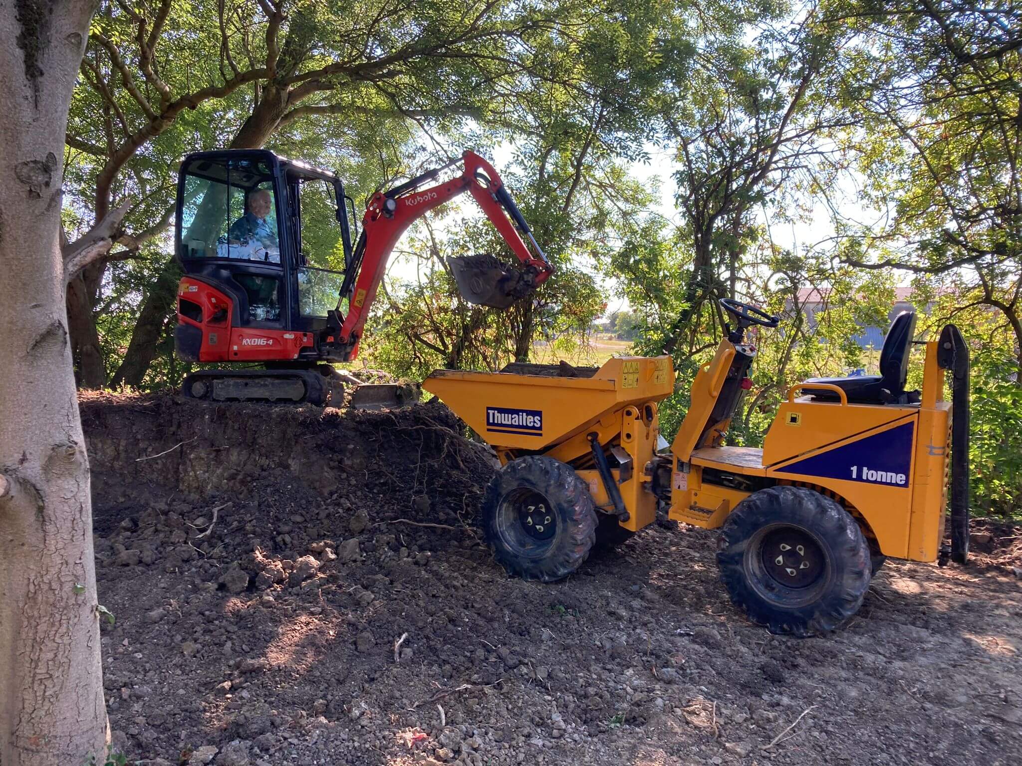 Mini Digger Luton